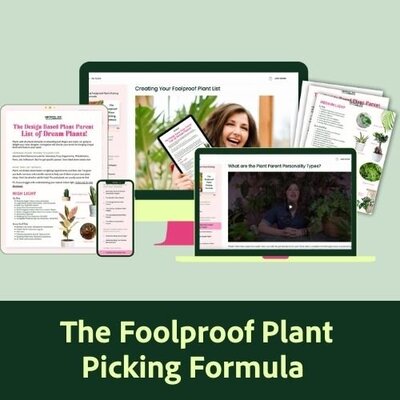 The Foolproof Plant Picking Formula Digital Course
