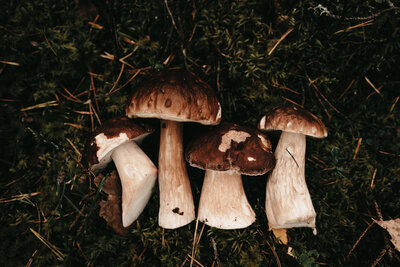 sixtyeightnorth imagery-61