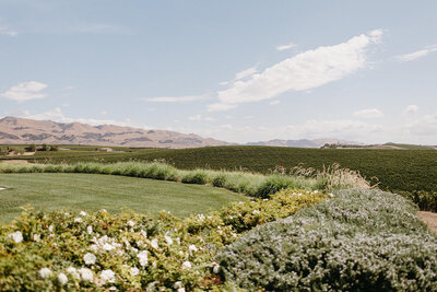 Beautiful scenery and views of rolling hills at San Luis Obispo wedding venue