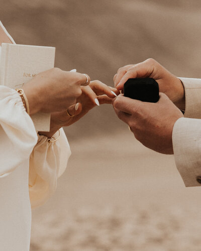 bride and groom exchanging rings