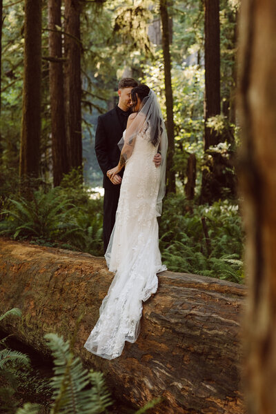 redwoods elopement uncharted elopements5