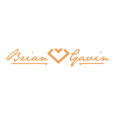 Logo for Brian Gavin, one of The Bea Connected Team's clients
