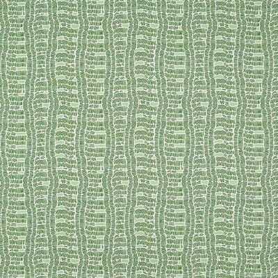 Isobel_OVER UNDER_Matcha