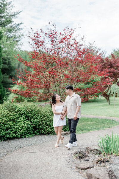 couple engagement walking hand in hand vineyard