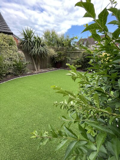 Fake grass for dogs