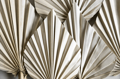 Match your website to your new premium brand using a premium Showit website template from The Template Emporium.