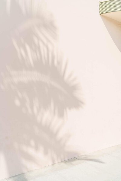 Showit Website Templates for Practitioners | RMDY 119