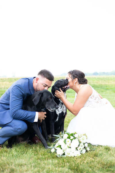 Bride and Groom bend down to kiss their pups on their wedding day