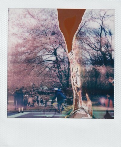 IMG_20240410_0003