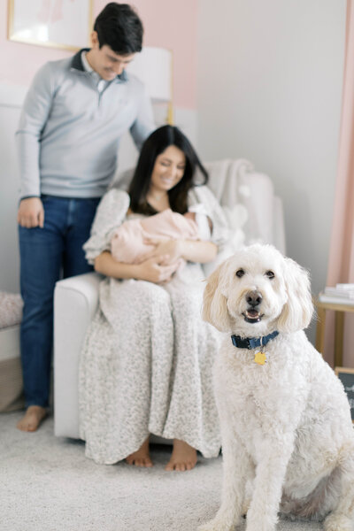 winston-salem-newborn-photographer125