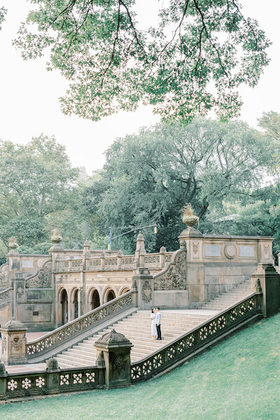 Central_Park_Engagement_Ronnie_and_Jean_MTA-105