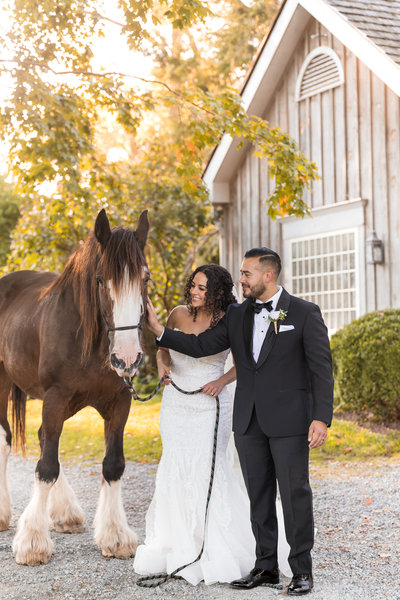 Classic-Catering-Wedding-Photo-Sylvanside-Farm-September-2019-301