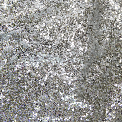 Silver Sequins