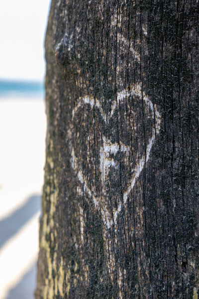 Coeur sur un arbre