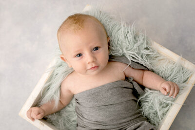 Baby boy poses for a 3 month portrait