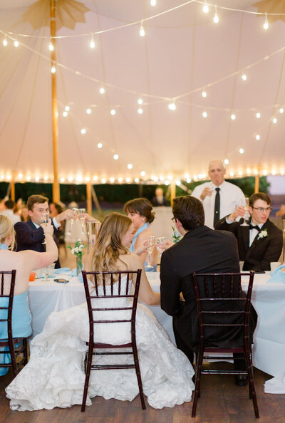 Bride and Groom cheering wine glasses during toasts. Captured by Washington DC Wedding Photographer Bethany Aubre Photography.