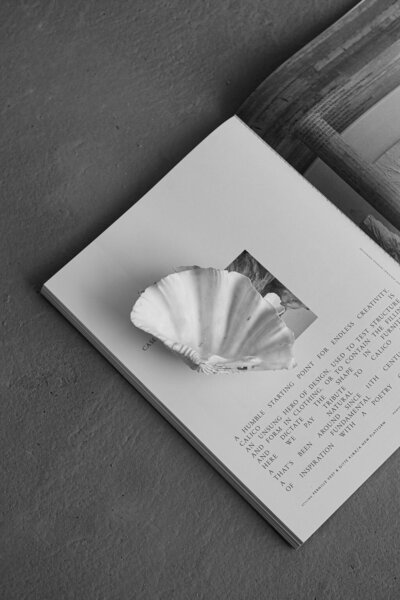 A stock photography photograph in black and white by Vistyle Studio