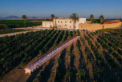 Nature background from Luxury Wedding Planned by Maila Enea in London & Sicily