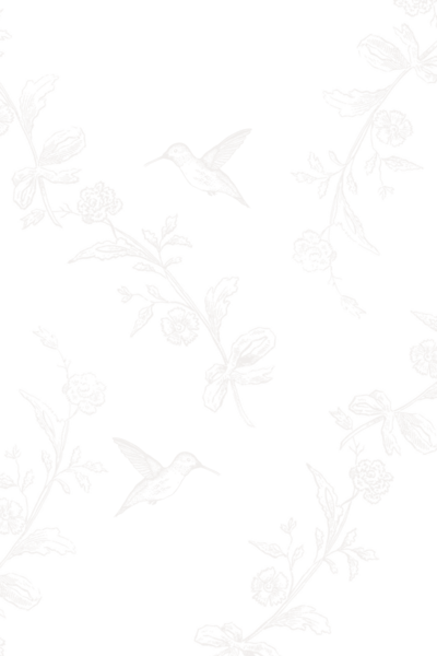 Hummingbird Pattern-01
