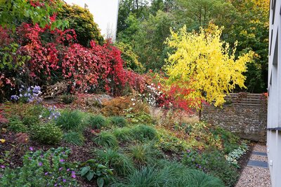 moderní zahrada u vily