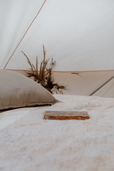 Image of plant, bed and book