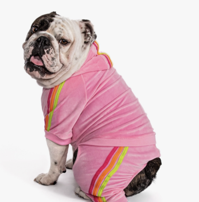 Pink Velour Dog Jogger $36.00