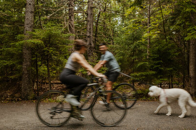 matt-sydney-acadia-national-park-proposal-61