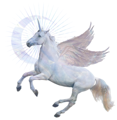 White Flying Unicorn Representing Animal Communication Course
