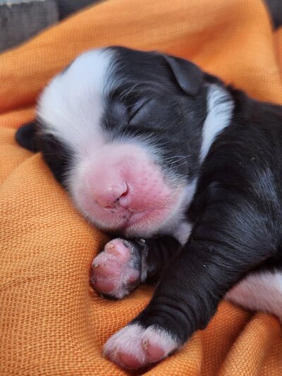 858bb2c8-a47f-4e51-95d4-94eef3677108