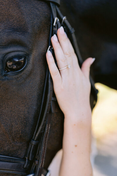 NikkiSanterre_EastCoastLuxuryWeddingPhotographer_KentuckyEngagementSessionWinstarFarm_Caroline&Ben-81_aXN