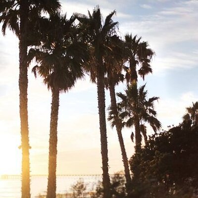 14681929_1316049868405877_7406395015616704727_o