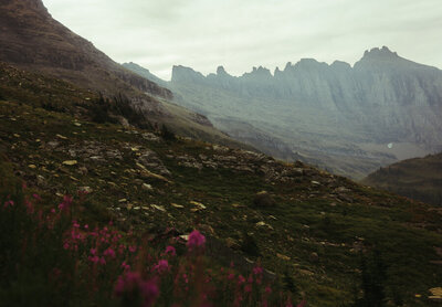 This is a view of the GNP highline trail from a summer when the wildflowers were in full bloom.