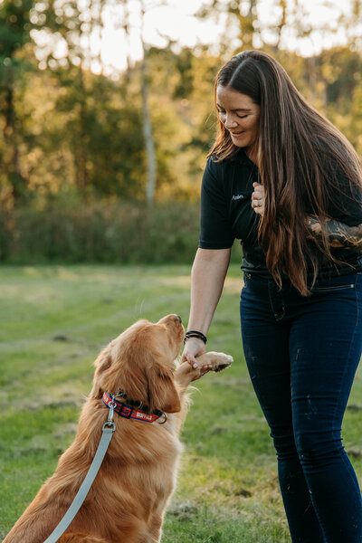 Vibrant branding photos for pet businesses, showcasing happy pets, quality products, and services, designed to highlight your brand's personality and appeal to pet owners.