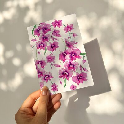 Cooktown Orchid card mockup