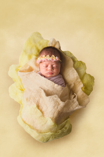 Fine art newborn detail photo — swaddle texture and gentle lighting in Bay Area studio