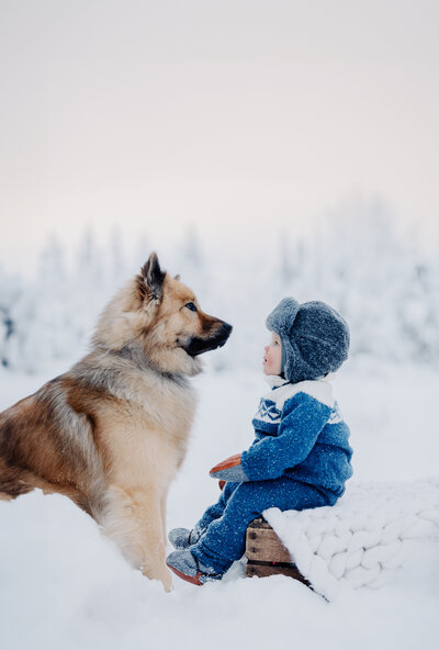 porträttfotograf-kiruna
