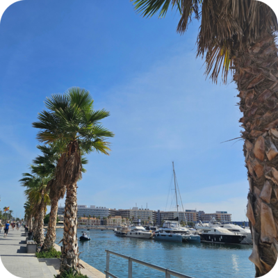 View over marine harbor with boats docked