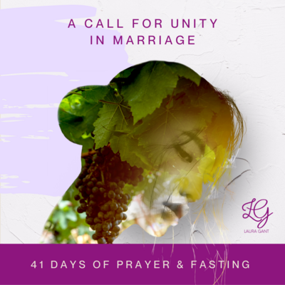 Prayer Woman: 41 Days of Praying Over Your Husband by Laura Gant