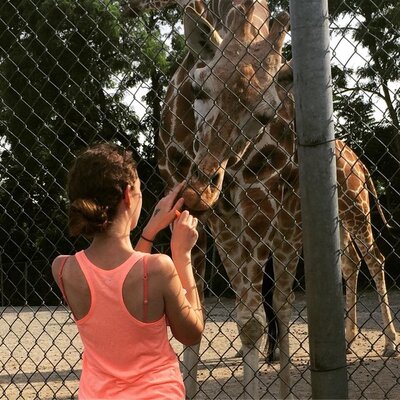 Photo of me feeding a giraffe at the zoo