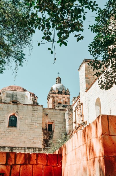 ale-cisneros-1rZEYTfL-5A-unsplash