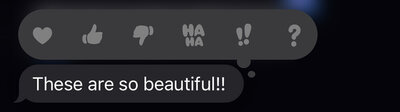 A screenshot of a text from a client received by photographer. The photo is tightly cropped so as to not reveal any personal information. The text reads "These are so beautiful!!"