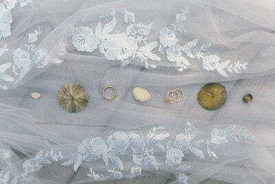 wedding rings, sand dollars, and seashells are lined up along the lacy edge of a veil