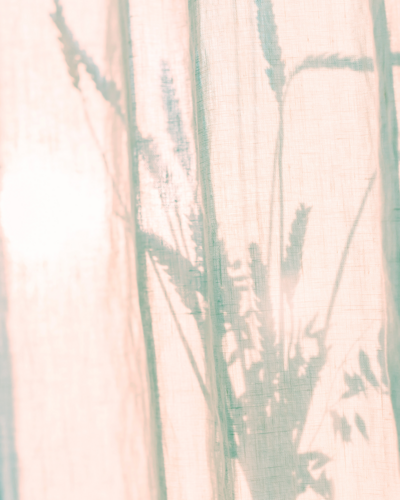 Boho-style indoor plants symbolizing calm, growth, alignment, and Main Character Energy vibes—creating a peaceful, inspiring space for self-love, confidence, and personal transformation.