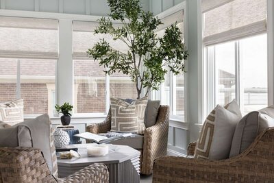 sunroom-olive-tree-palm-point-w1600