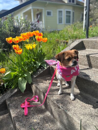 Abby New 04 2025