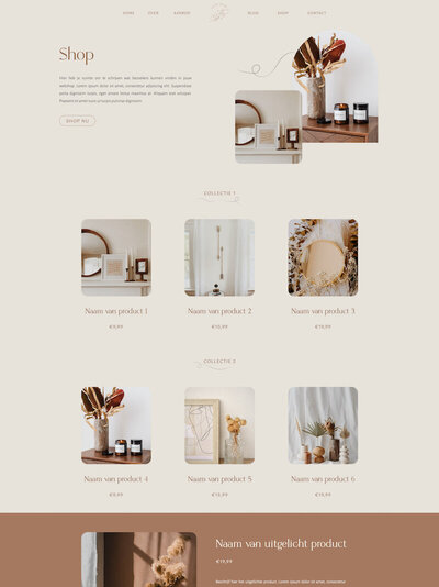 Sand Swirl Showit webshop template 2