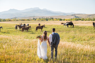 bride at Home Ranch wedding in Steamboat Springs