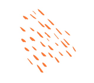 orange dash