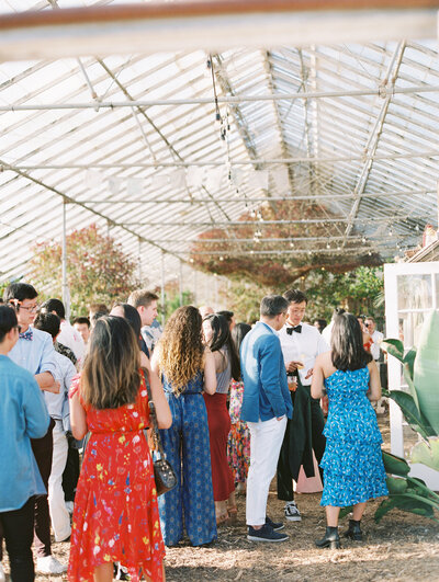 The festive wedding guests hang out in the greenhouse for cocktail hour, including talking to the groom. Photographed at Dos Pueblos Orchid Farm by Megan Lynn, film photographer of My Sun and Stars Co.