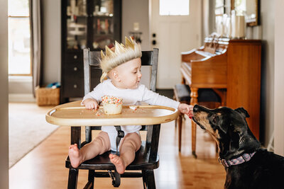 A baby sitting in a high chair, wearing a crown while holding a cupcake with colorful sprinkles.